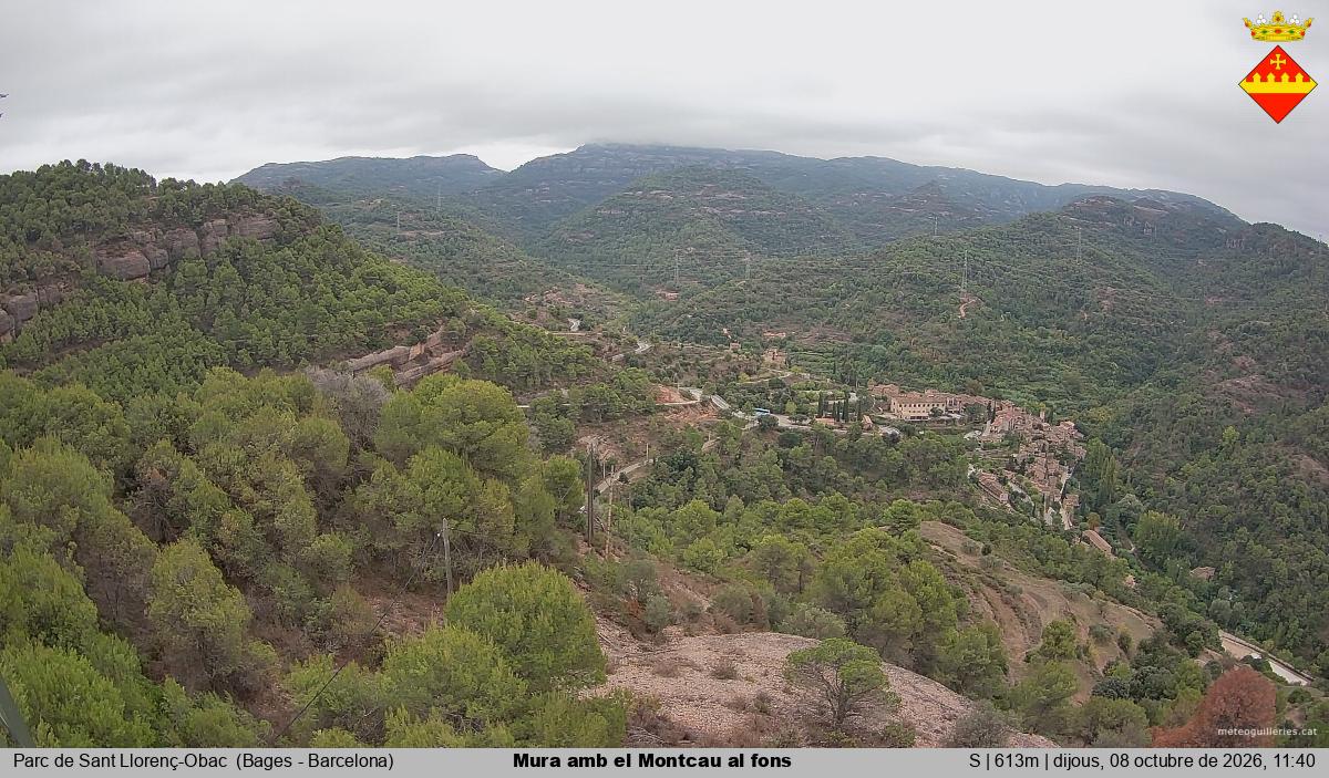 Mura amb el Montcau al fons
