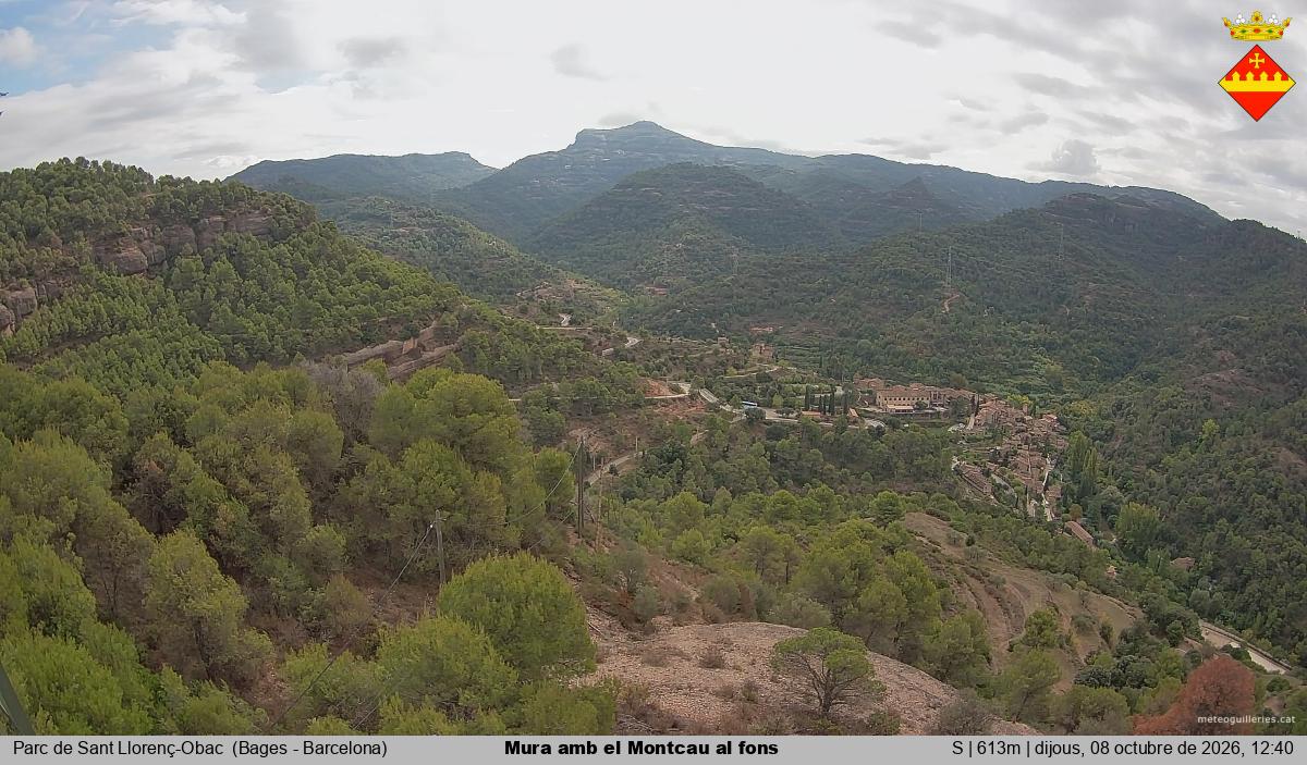 Mura amb el Montcau al fons