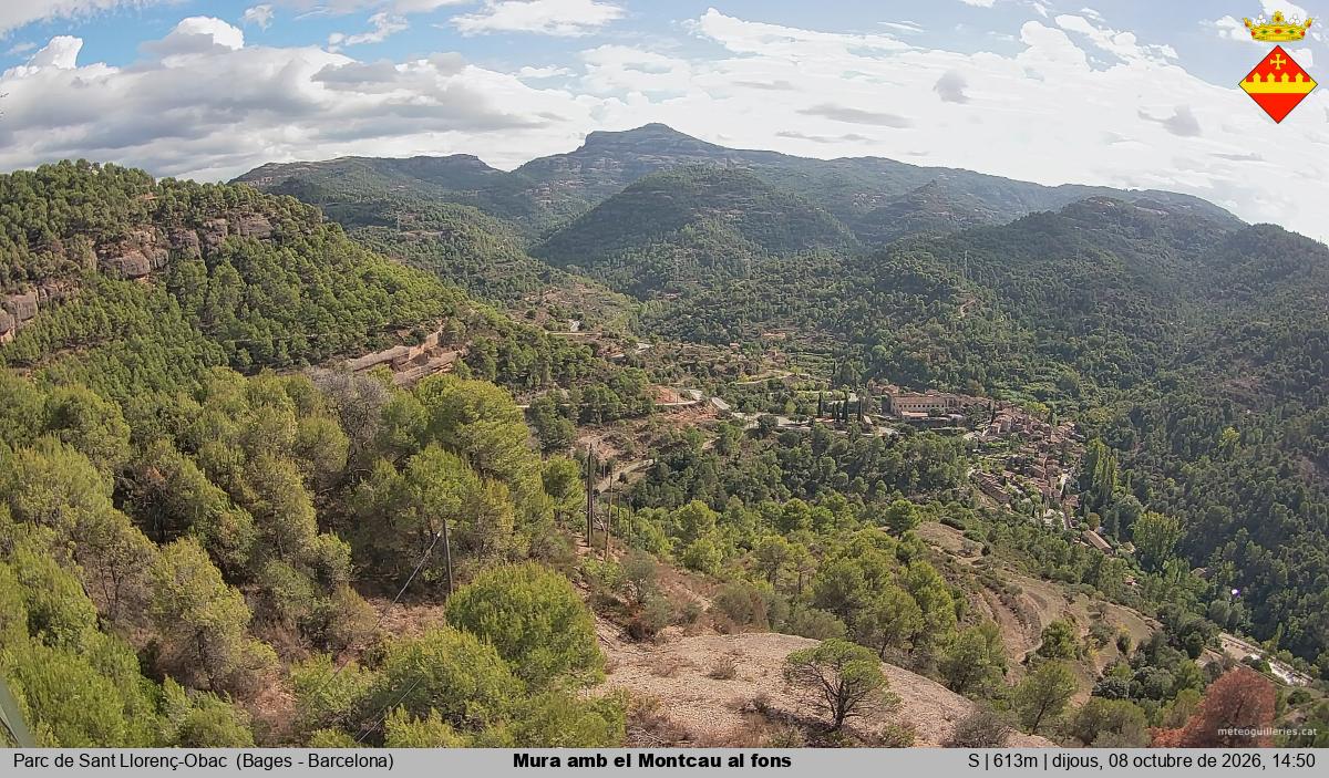 Mura amb el Montcau al fons