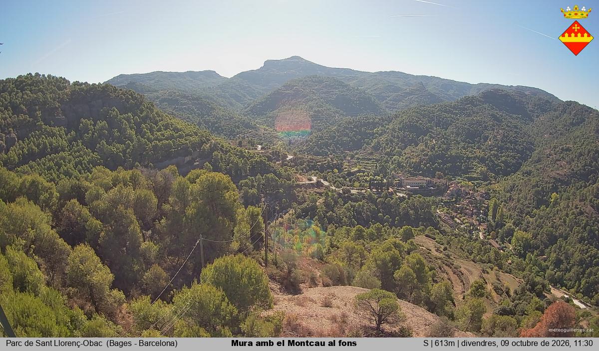 Mura amb el Montcau al fons
