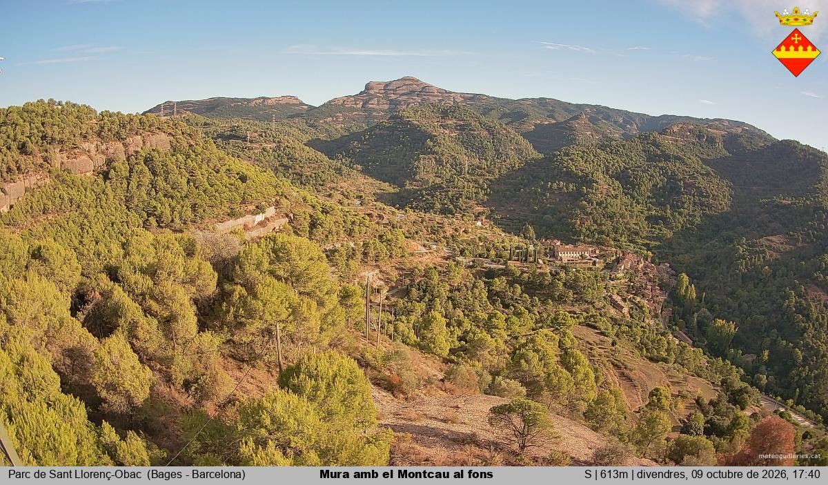 Mura amb el Montcau al fons