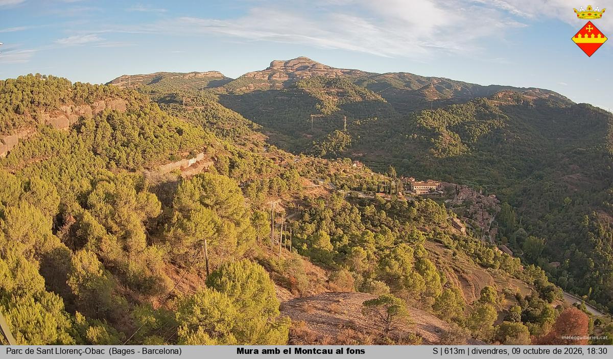 Mura amb el Montcau al fons