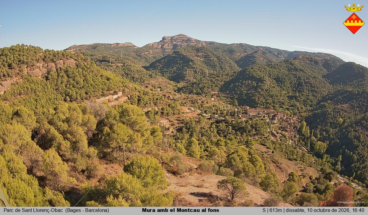 Mura amb el Montcau al fons