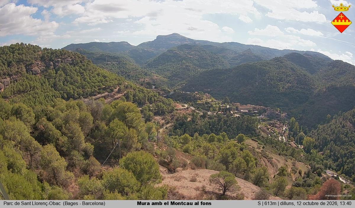 Mura amb el Montcau al fons
