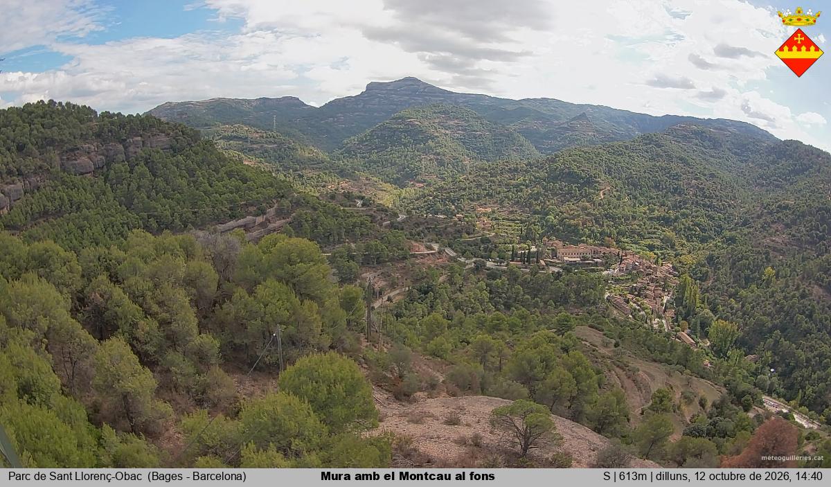 Mura amb el Montcau al fons