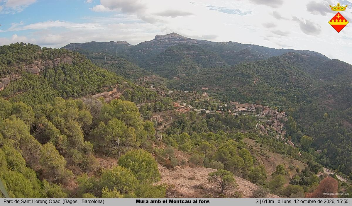 Mura amb el Montcau al fons
