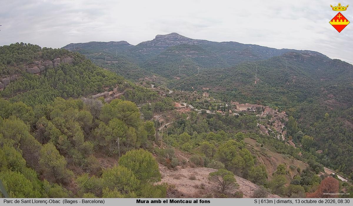 Mura amb el Montcau al fons
