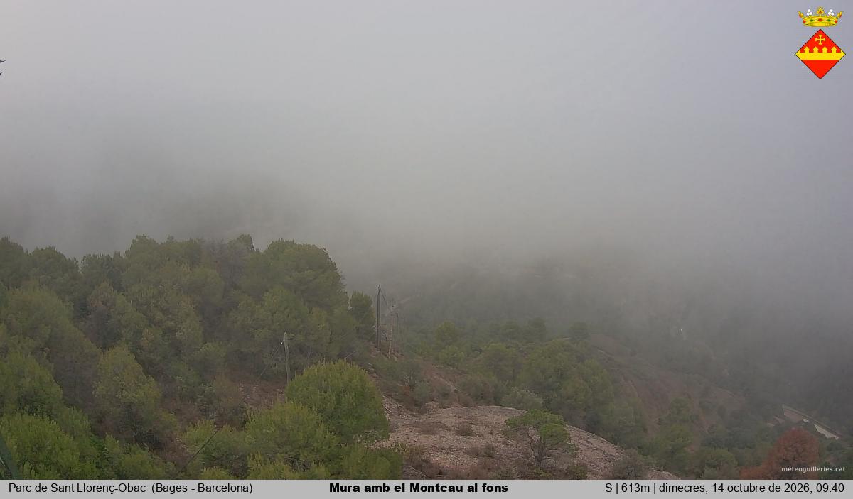 Mura amb el Montcau al fons