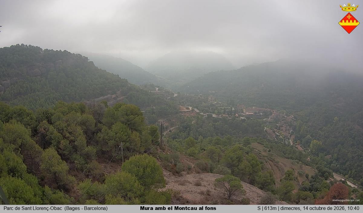 Mura amb el Montcau al fons