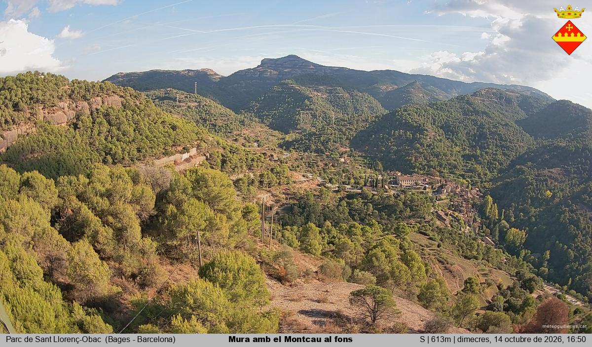 Mura amb el Montcau al fons