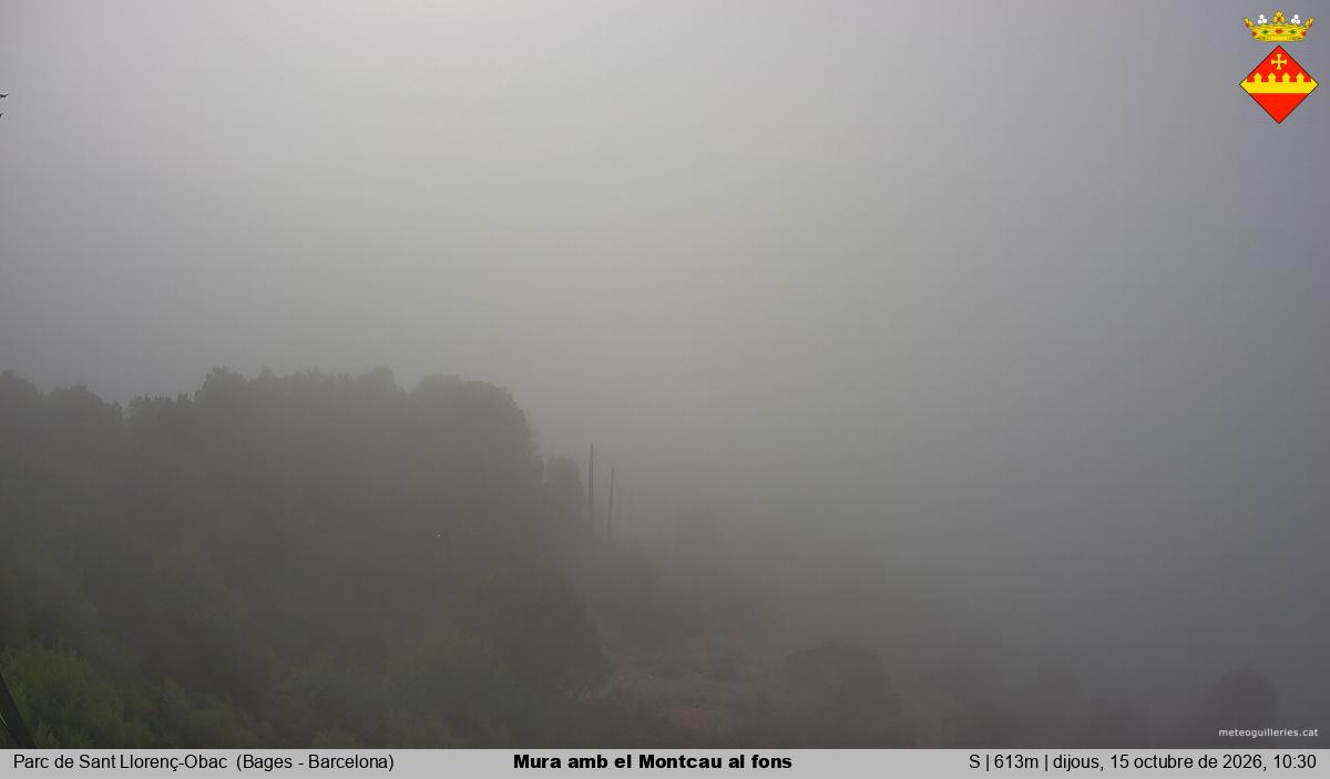 Mura amb el Montcau al fons