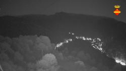 Webcams