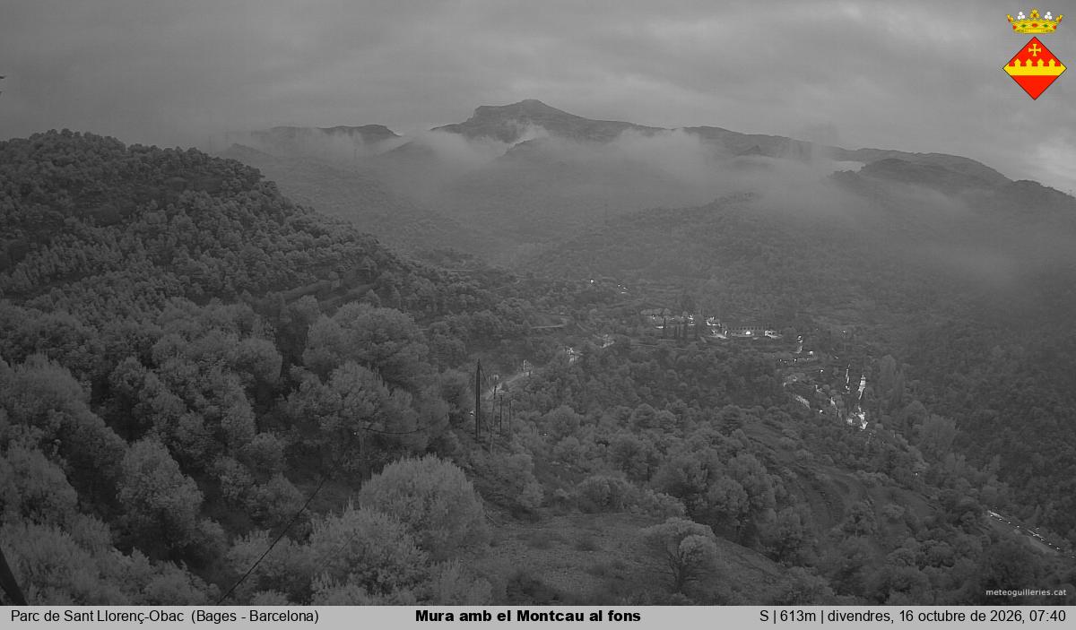 Mura amb el Montcau al fons