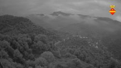 Webcams
