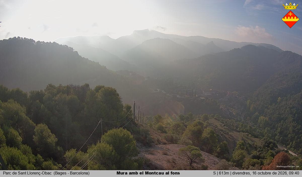Mura amb el Montcau al fons