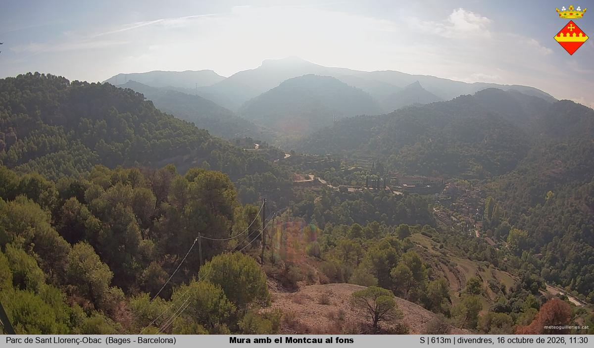 Mura amb el Montcau al fons