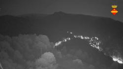 Webcams