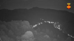 Webcams