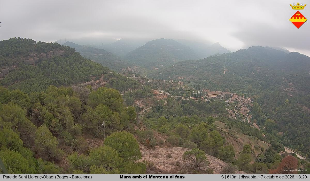 Mura amb el Montcau al fons