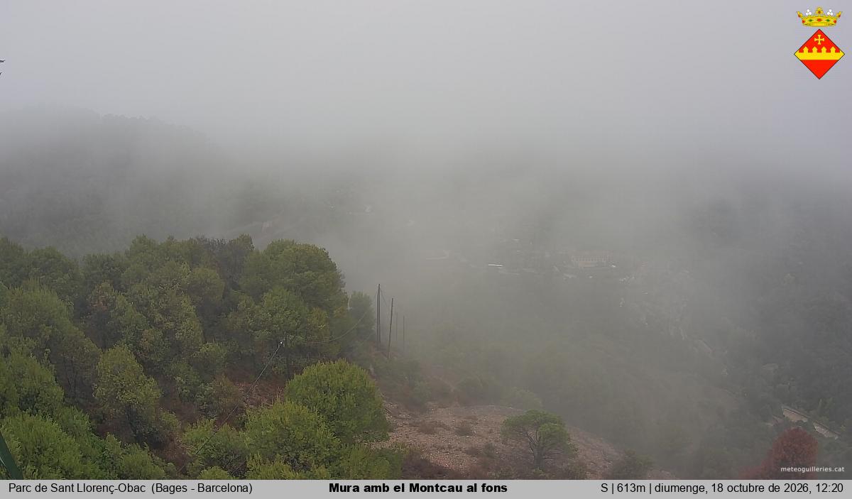 Mura amb el Montcau al fons