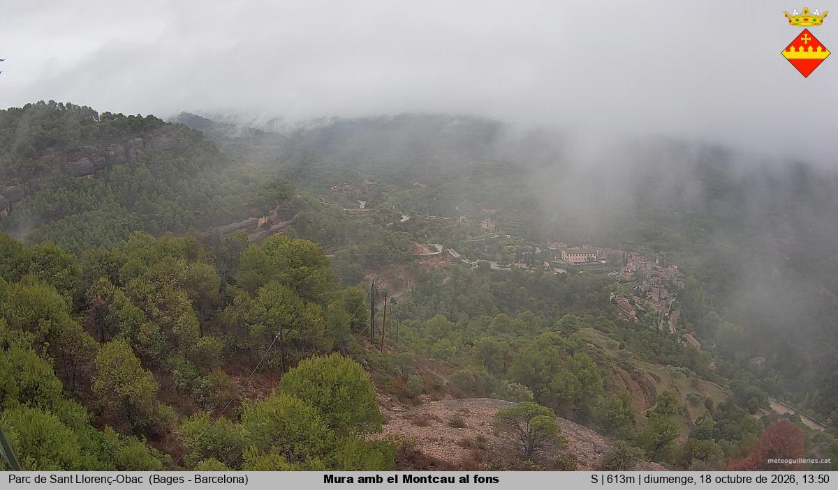 Mura amb el Montcau al fons