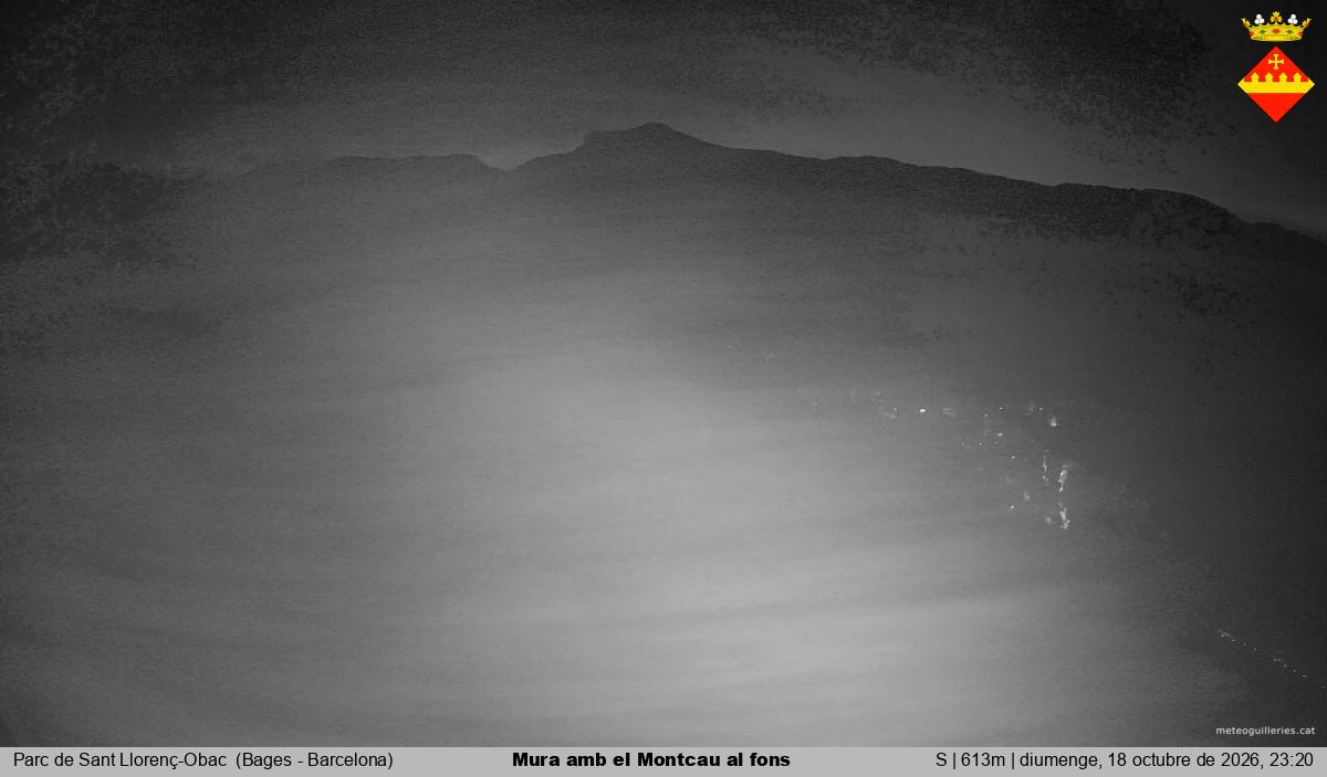 Mura amb el Montcau al fons