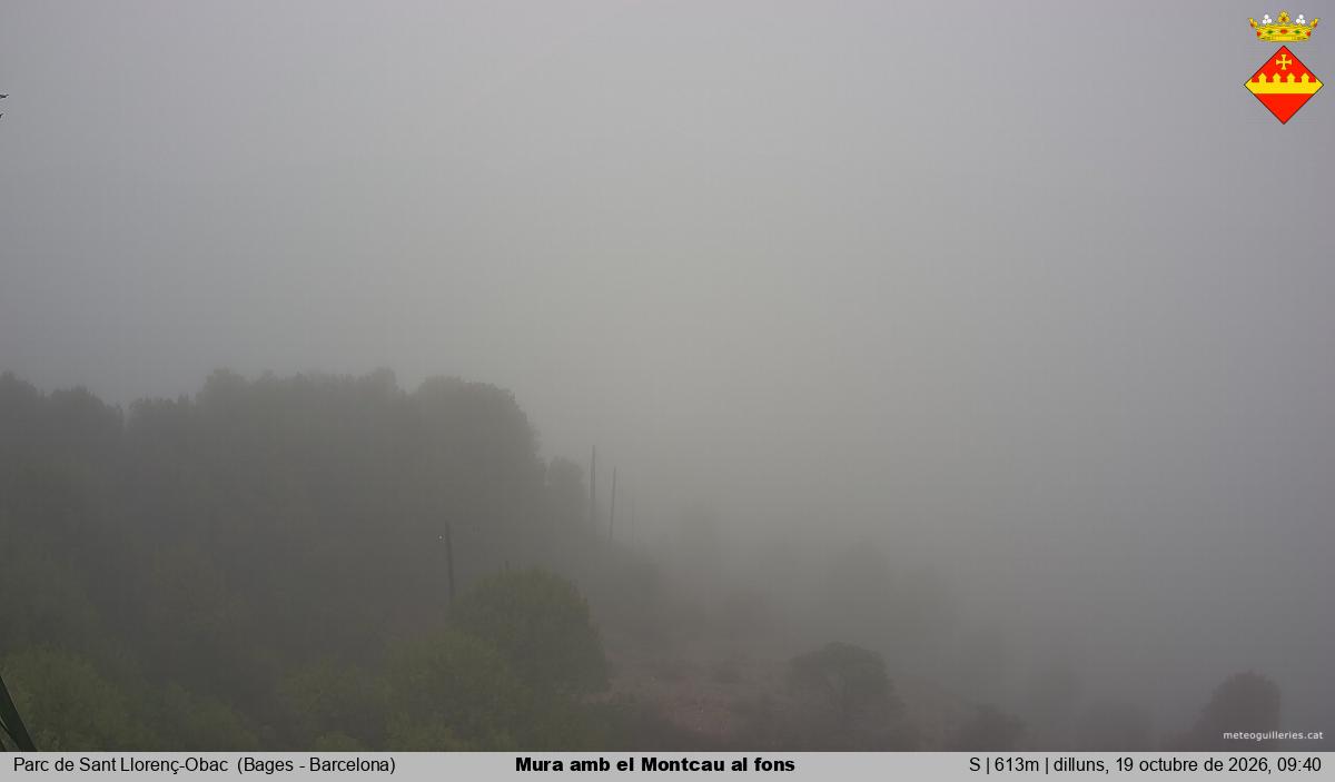 Mura amb el Montcau al fons