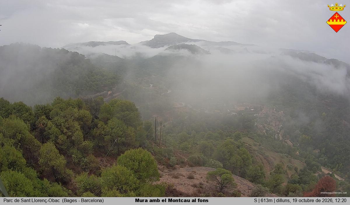 Mura amb el Montcau al fons