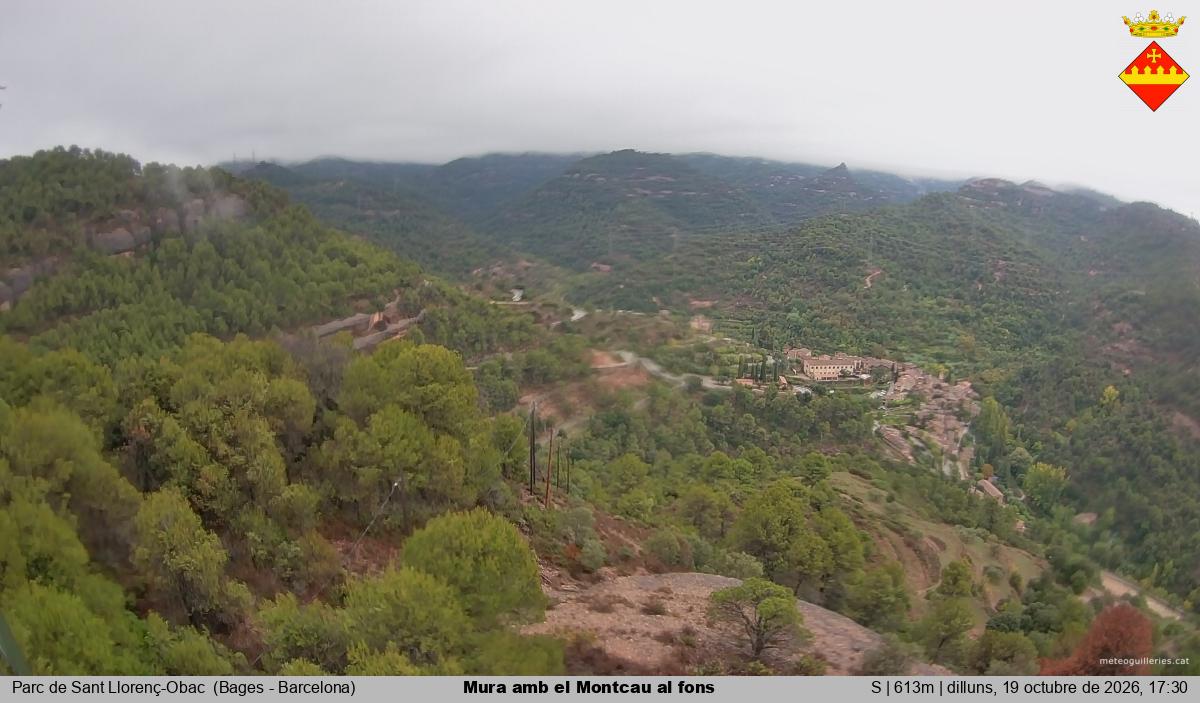 Mura amb el Montcau al fons