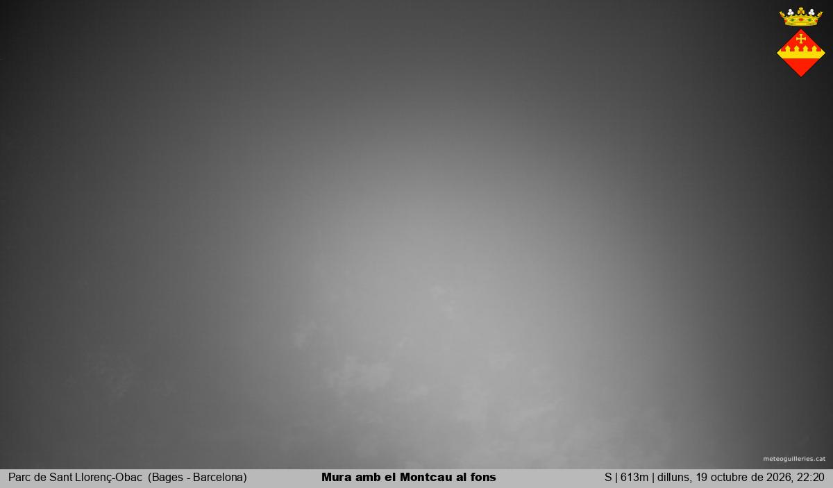 Mura amb el Montcau al fons