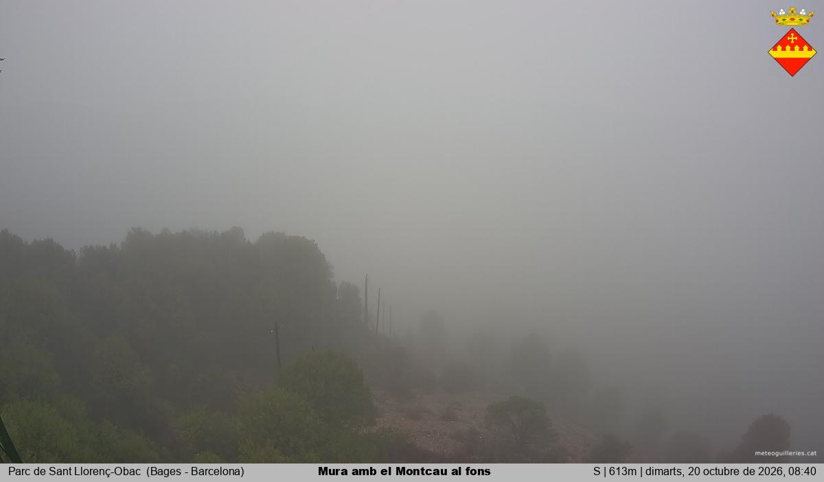 Mura amb el Montcau al fons
