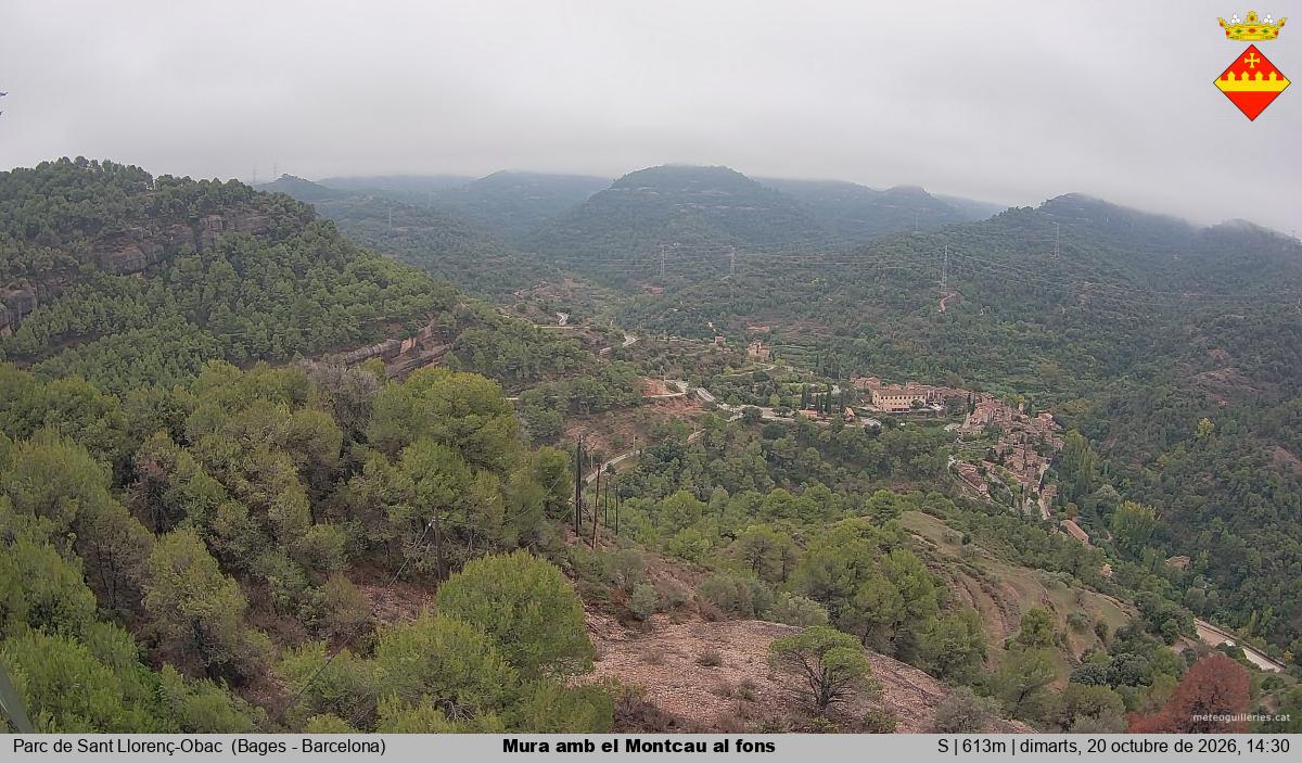 Mura amb el Montcau al fons
