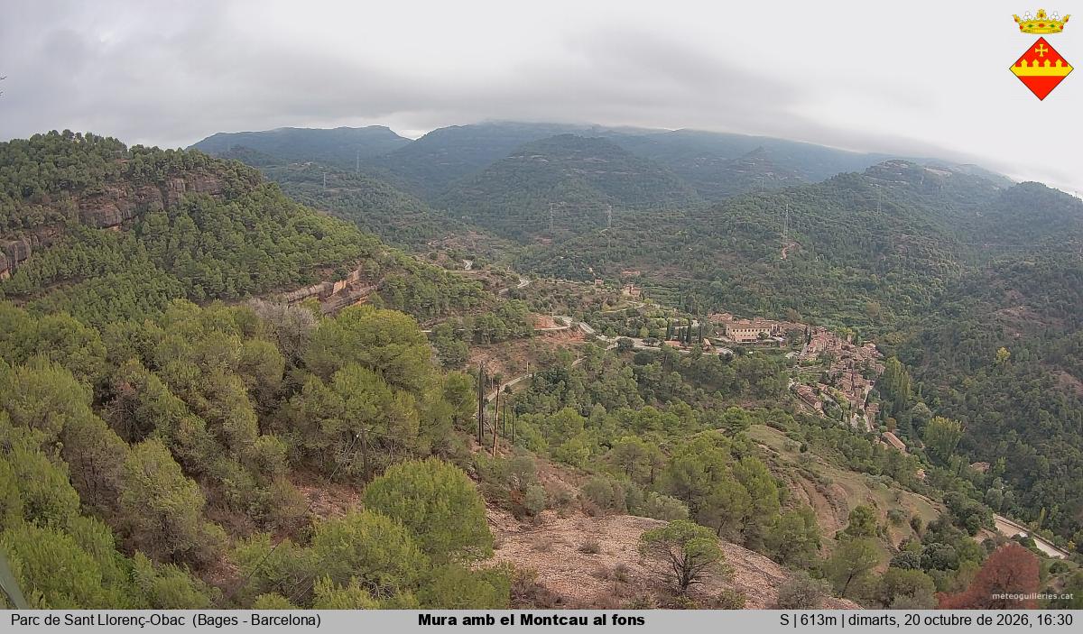 Mura amb el Montcau al fons