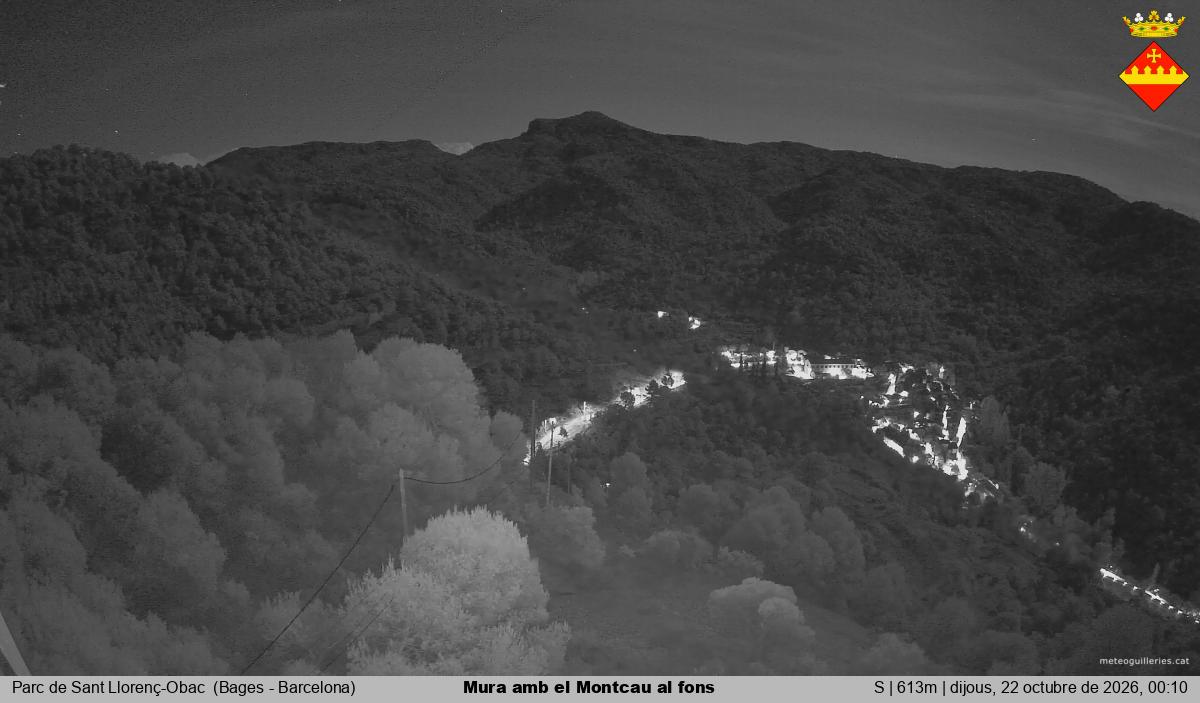 Mura amb el Montcau al fons