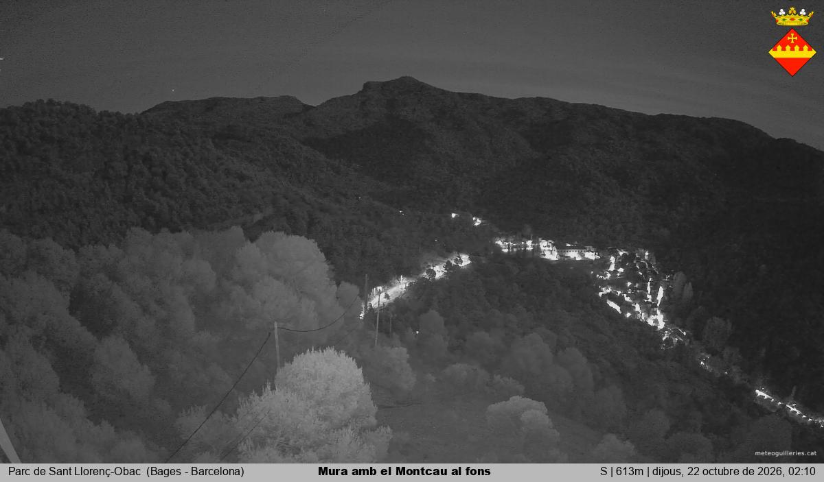 Mura amb el Montcau al fons