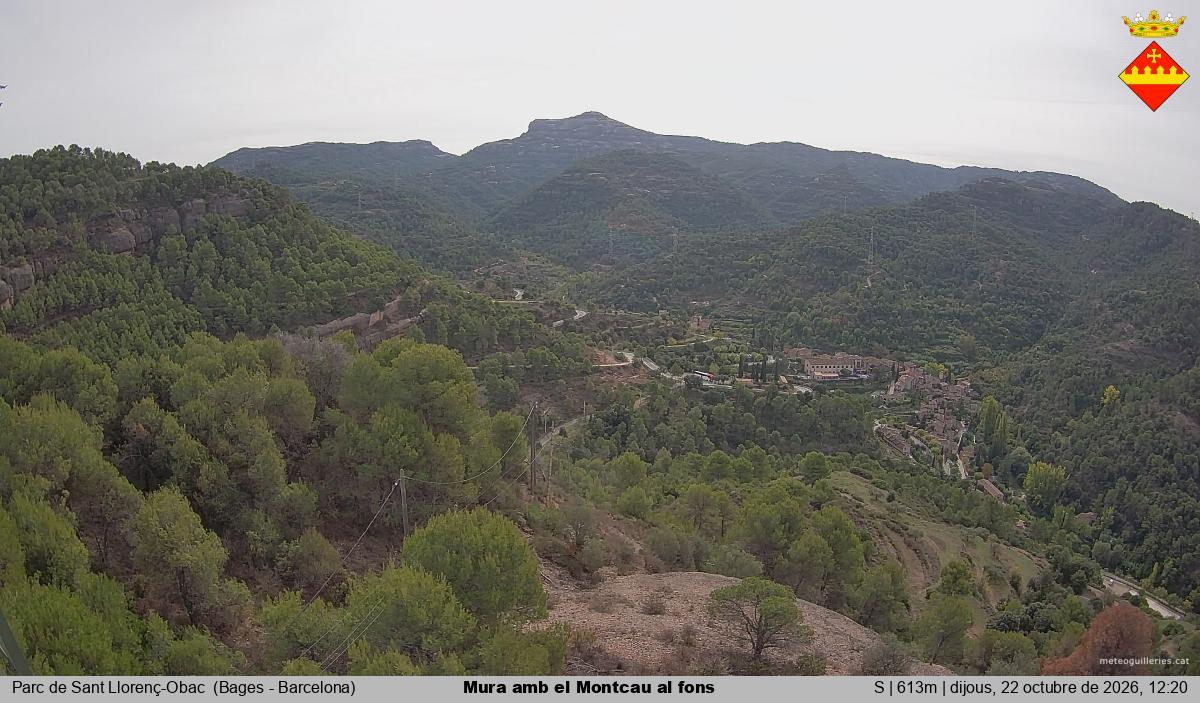 Mura amb el Montcau al fons