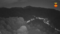 Webcams