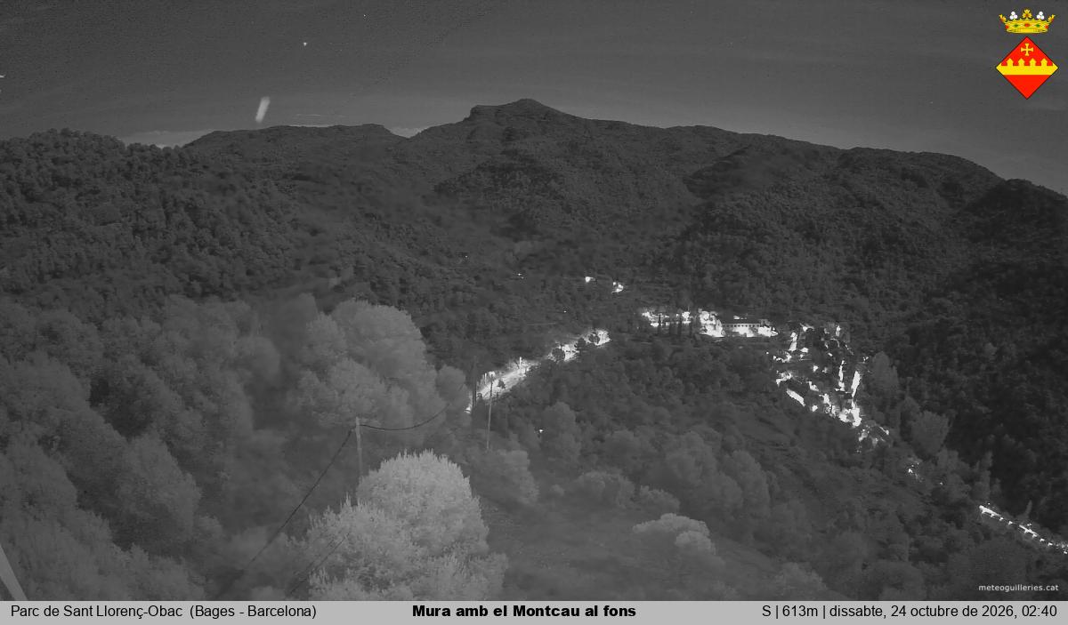 Mura amb el Montcau al fons