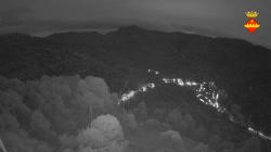 Webcams