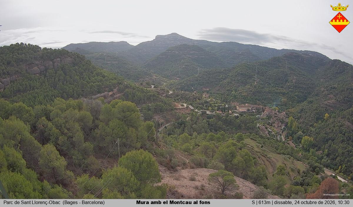 Mura amb el Montcau al fons