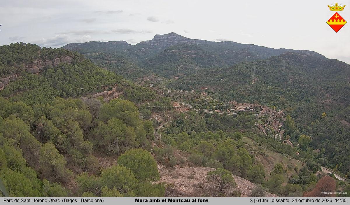 Mura amb el Montcau al fons