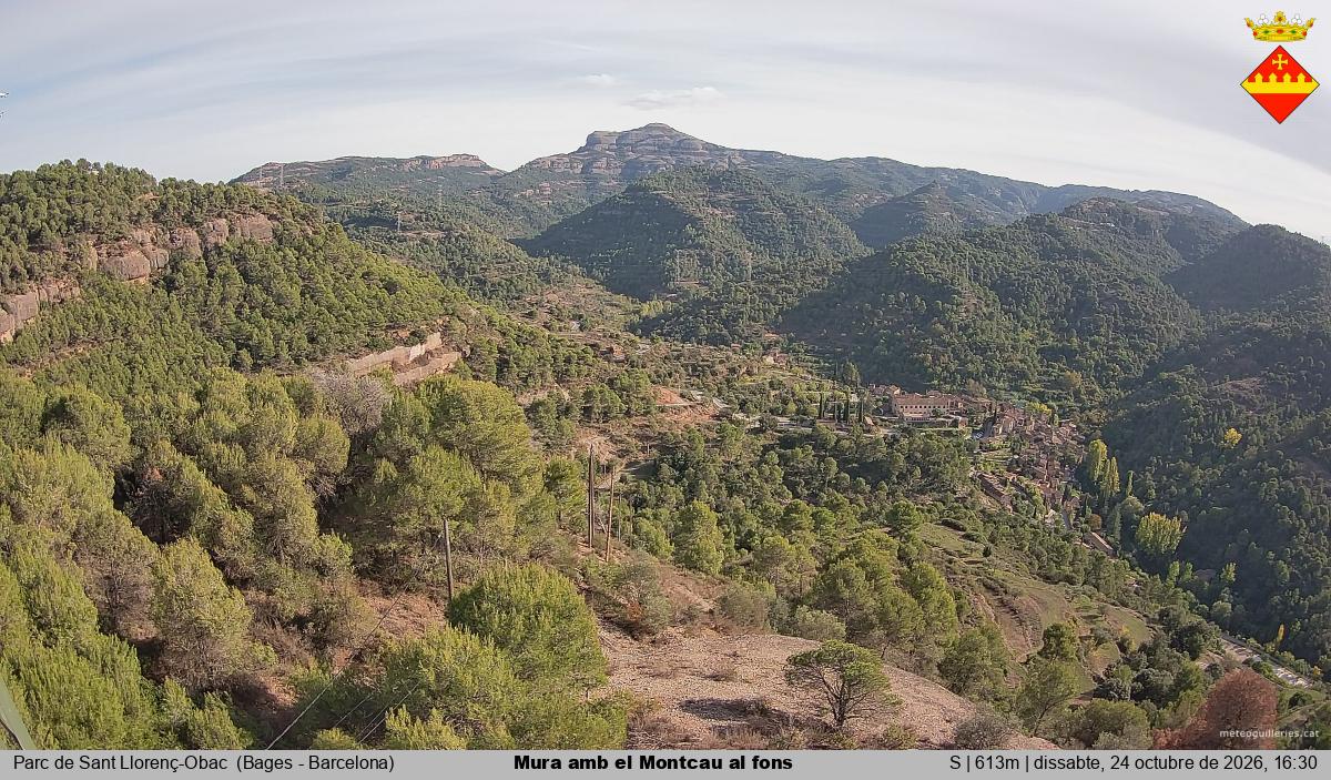 Mura amb el Montcau al fons