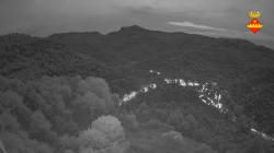 Webcams