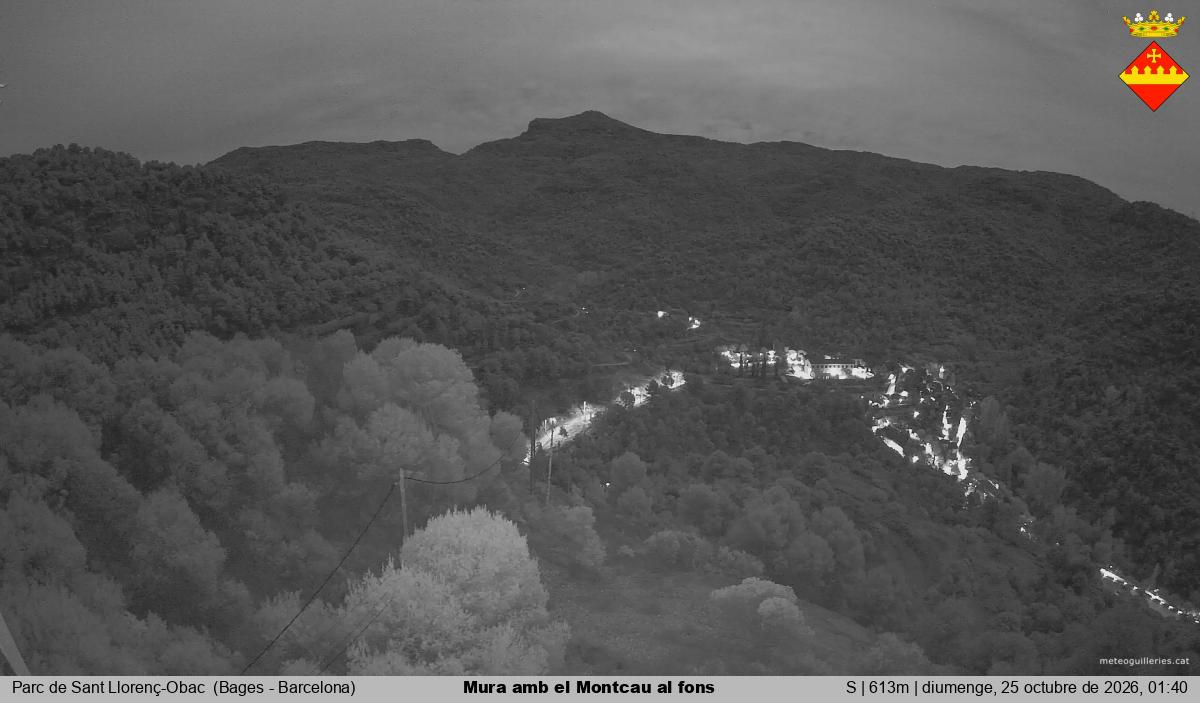 Mura amb el Montcau al fons