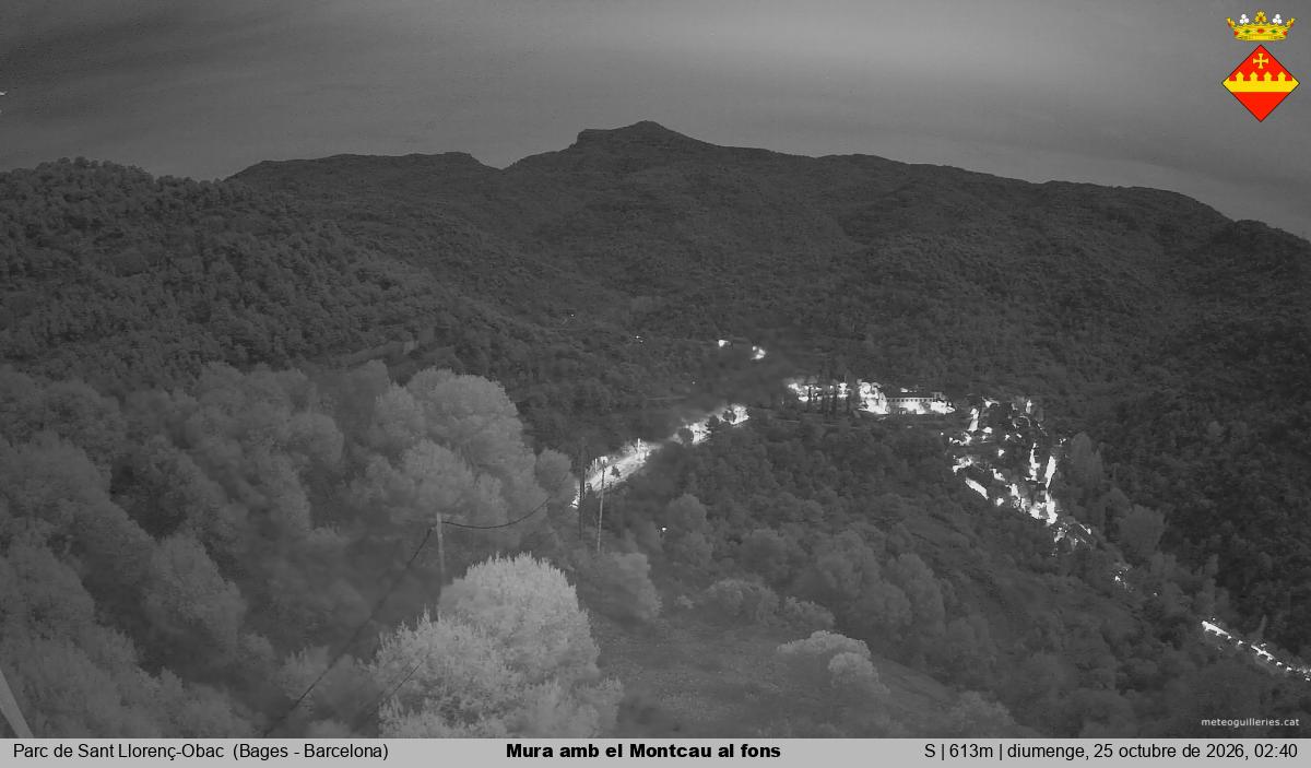 Mura amb el Montcau al fons