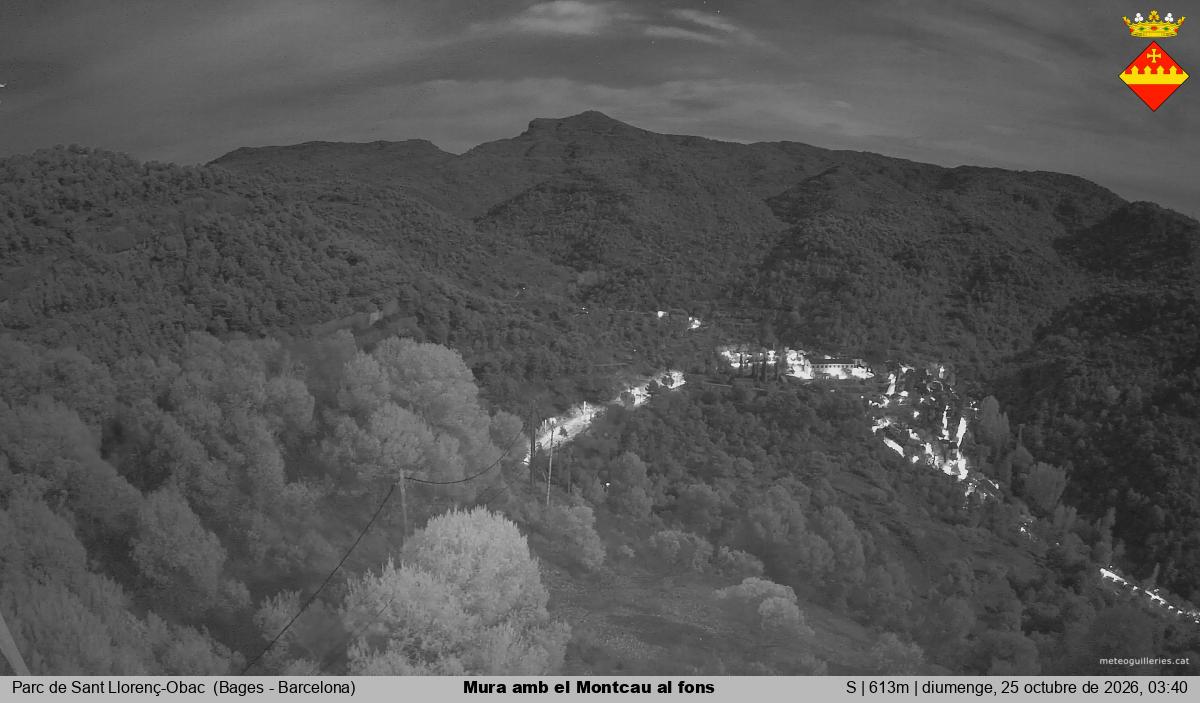 Mura amb el Montcau al fons