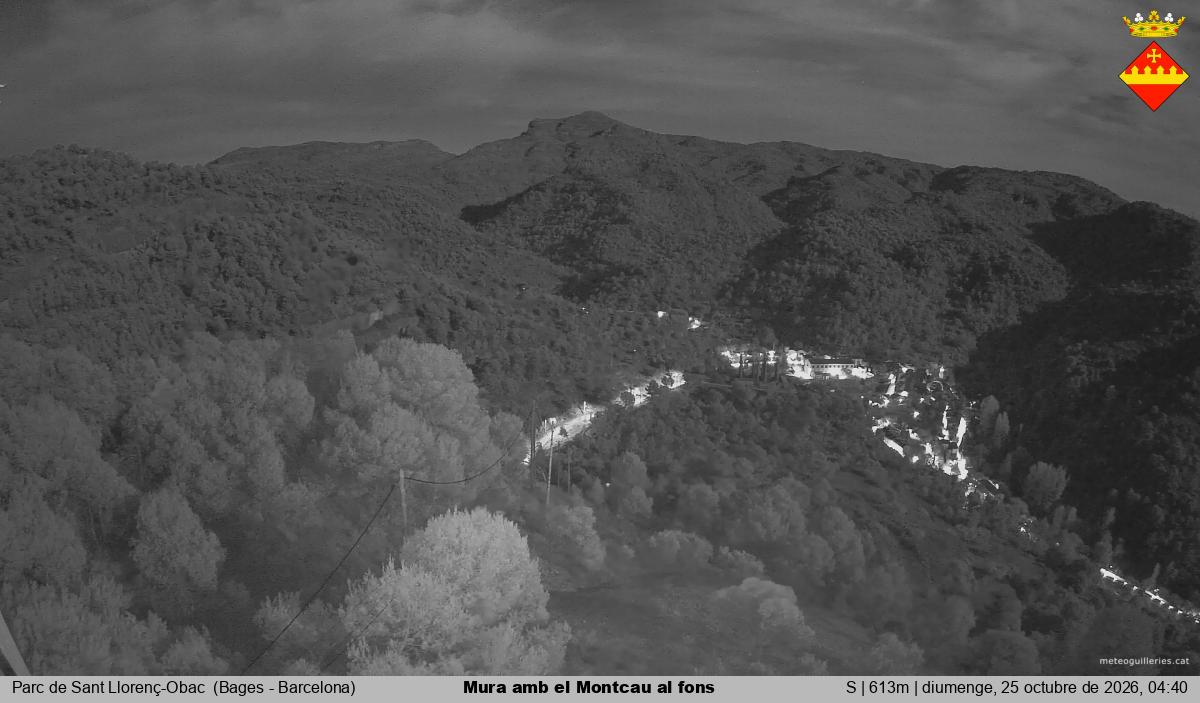 Mura amb el Montcau al fons