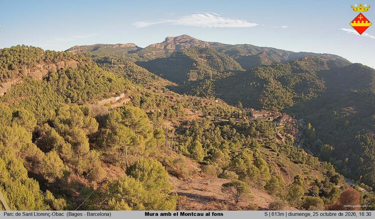 Mura amb el Montcau al fons