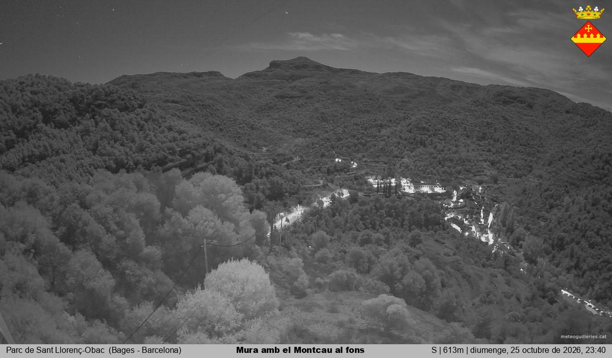 Mura amb el Montcau al fons