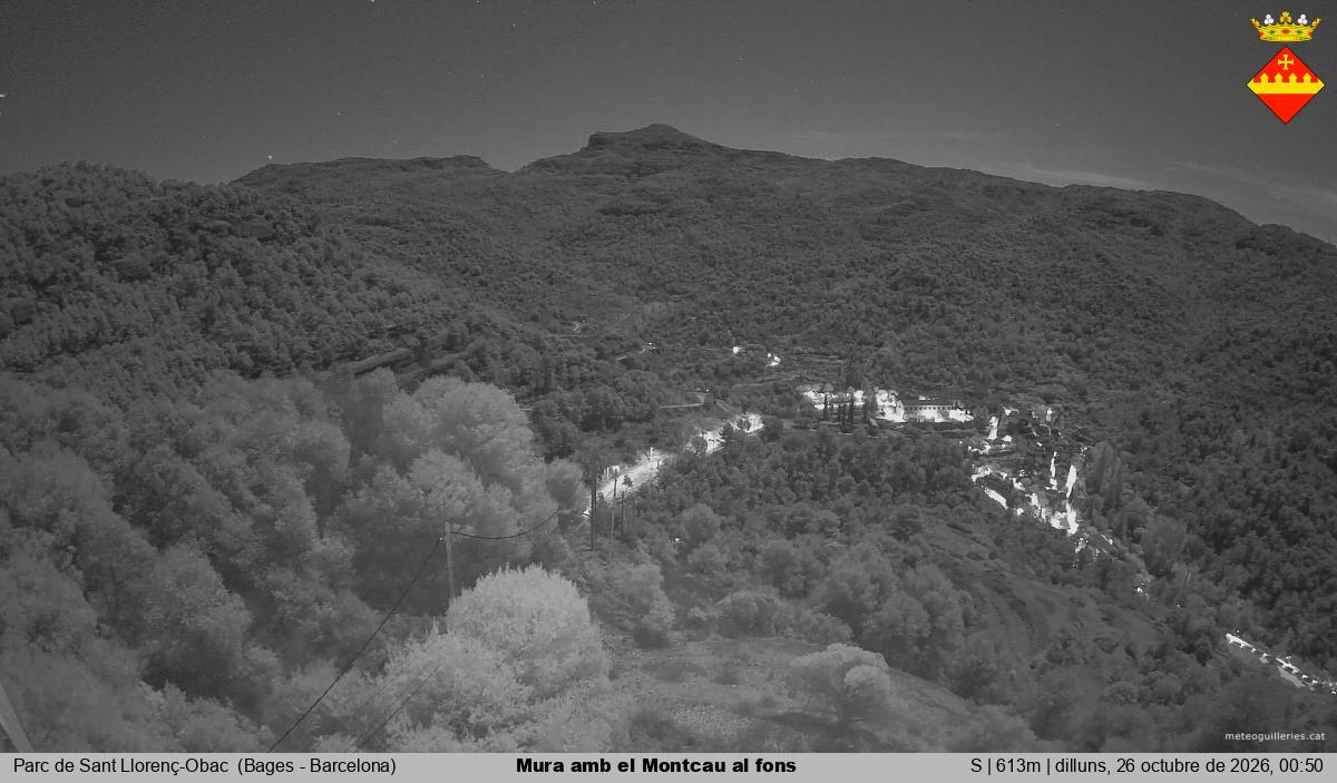 Mura amb el Montcau al fons